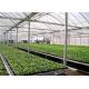 Large Size Greenhouse Rolling Benches Galvanized Frame Cover Materials