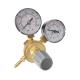 Double Head Gas Regulator for Customized Pressure Reduction in Industrial Settings