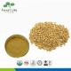 Fenugreek Seed / Trigonella Foenum-Graecum Extract Powder 50% Saponins