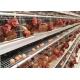 96 / 160 Birds Layer Chicken Cage Poultry Feeding System