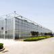 Agricultural Hydroponic Glass Greenhouse Vertical Hydroponic System Large Glass Greenhouse