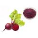 Natural Pigment Anti Tumor Red Beetroot Vegetable Extract Powder