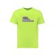 Custom Printed Summer Round Neck Soft Cotton Men's Sports T-shirt for Adults' Fashion
