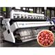 Precise Rejection Peanut Sorting Equipment , 640 Channels 5t/h Kernel Sorting Machine