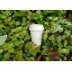 Coffee 100% Compostable Paper Cups Customized Logo For Fast Food Restaurants