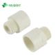 QX Standard ASTM 2 Inch Sch40 Plastic Pipe Fitting White PVC Adapter with Male Threaded