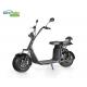 Fat Tire 2 Wheel Electric Scooter With Optional Lithium Battery LT018