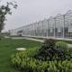 Steel Structure Drip Irrigation Glass Greenhouse for Plants Roofing Shape a Type Roof
