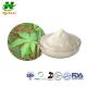 ISO Sweetener Powder Sweet Tea Extract  70%-85% Rubusoside For Food Addtive