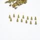 Wholesale Brass Fastenter Bolt Screw Rivets Nuts For Planet Custom Avaible