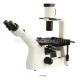 Trinocular Head 400X Laboratory Inverted Optical Microscope A14.1101 With CE