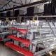 3 Tiers A Type Hot Dipped Battery Chicken Layer Cages Automatic Feeding System