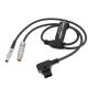 2 Pin D Tap Male 25cm Power Y Cable For Phantom 4k VEO 990