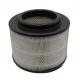 17801-0C010 Cartridge Air Filter for Truck Fiberglass Auto Filter Supplied by Chinese