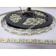 5050 dream color RGBW 4in1 led strip light