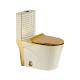 Gold Plated Ceramic One Piece Toilet Sanitary Wares Washdown Toilet Bowl
