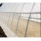 Malla Insect Protection Netting Mosquito Nets Windbreaks ISO 9001 Standard