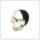 Comparative Anatomy Skull Model Differentiation / Plastic Skull For Studying