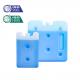 Factory Hot Sale Customize Reusable hard Shell Gel Ice Pack Ice Brick For Cooling Storage
