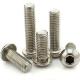 Stainless Steel Hex Drive Socket Cap Bolts DIN M2 X 16mm Hex Screw ODM