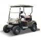 4wd LSV Utility 2 Seater Golf Cart Off Road Custom