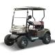 Black color Mini Low Speed Vehicles Utility car 2 Seater Golf Cart with 4 Wheel Off Road tires