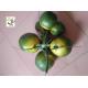 UVG high simulation plastic artificial coconut for fake palm tree decoration PTR045