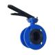 Lever Operation Flanged Butterfly Valve Blue Color