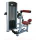 Environmental Friendly Commercial Exercise Equipment , Aluminium Handle Back Extension Bench