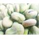 High Protein Fresh frozen Broad Beans Natural Green Foods For Supermarket