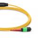 OS2 8 / 12 / 24 Fiber MPO Trunk Cable For Telecommunication