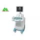 Full Digital Diagnostic Medical Ultrasound Equipment Trolley Ultrasound Scanner