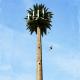 Camouflaged Artificial Palm Tree Antenna Tower 30m Height