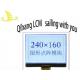 Customize Industrial Control 240160 COG Alphanumeric LCD Display Module