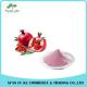 Natural Fruit Extract Pomegranate Juice Powder for Food