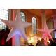 Starfish inflatable helium balloon with LED light