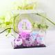 Forever Real Rose Everlasting Flower Preserved Fresh Flower Live Enchanted Rose in Glass Dome Cover with Gift Box Bag