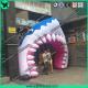 Inflatable Shark, Event Shark Entrance,Holiday Festival Advertising Inflatable