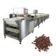 50kg/H 600mm Chocolate Chip Making Machine