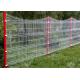 PE Coated 50*200mm Wire Mesh Security Fence Rectangle Post Matched