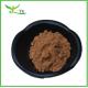 Areca Catechu Free Sample Areca Catechu Herbal Extract/Areca Catechu Extract