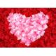 OEM ODM Silk Fabric Synthetic Artificial Rose Petals For Decoration
