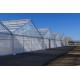 Tropical Area Vegetable Plastic Film Greenhouse For Hydroponic Growing