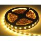 12V 5050 SMD led strip lights dmx