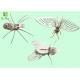 Custom POP Retail Store Props Recycle Giant Papercraft Insects Natural Color