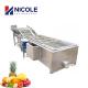 Industrial Bubble Fruit And Vegetable Washing Machine Cleaner Automatic CE Approved