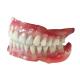 Digital Design 3D Printed Flexible Acrylic Dentures OEM Dental Lab