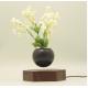 new hexagon wooden magnetic floating levitation air bonsai pot tree flowerpot