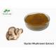 Pure Natural Oyster Mushroom Extract Powder 30% Polysaccharides Food Grade