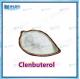 Fine Chemical Intermediates White Crystalline Powder Clenbuterol CAS 37148-27-9
